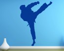 Chinese Kung Fu Vinyl Decals Silhouette Modern Wall Art Sticker